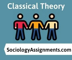 sociology homework assignments Classical theory