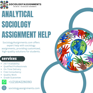 Analytical Sociology Assignment Help