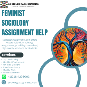 Feminist Sociology Assignment Help