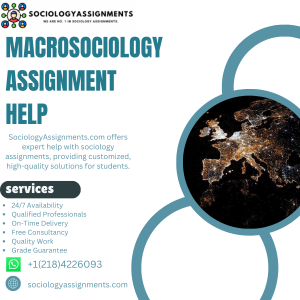 Macrosociology Assignment Help